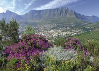 南アフリカ観光局 2018年12月の旅行者数を発表